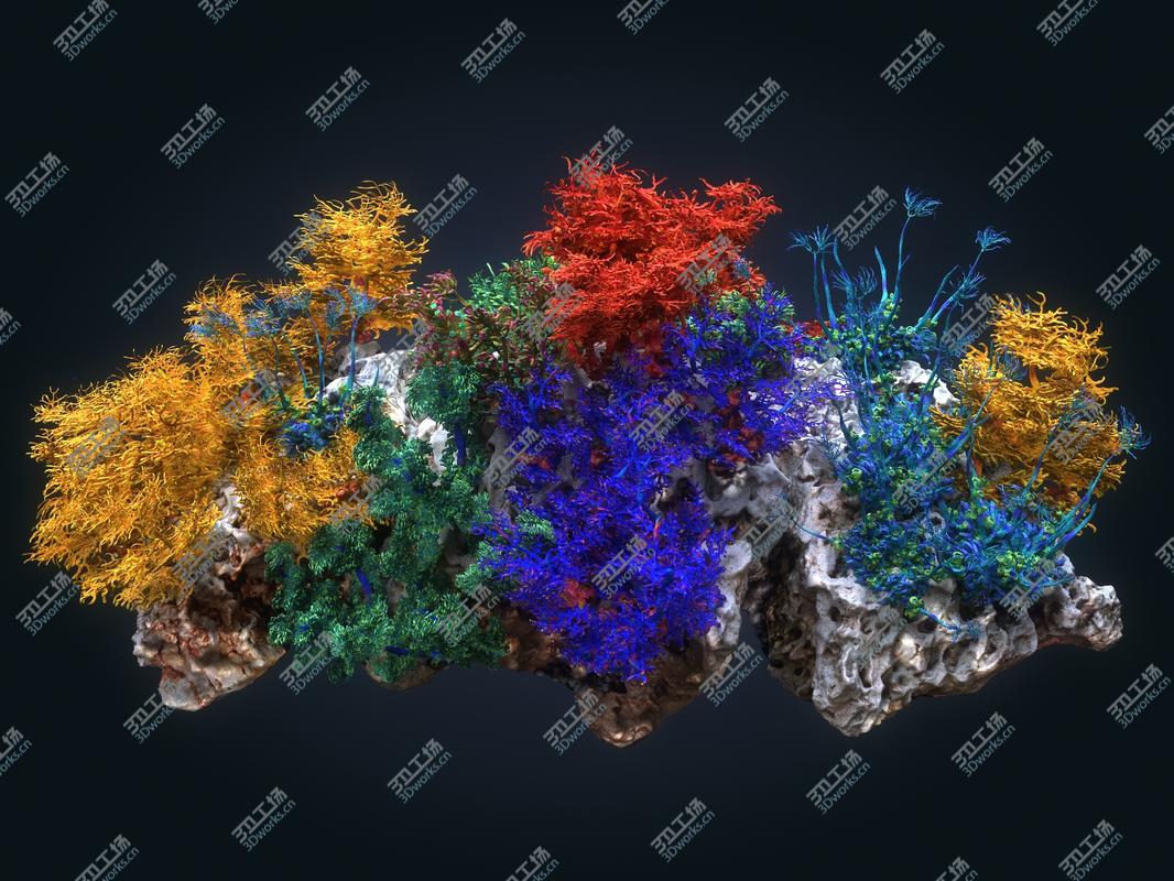images/goods_img/202104021/3D Coral reef ecosystem Animated Pack 2/5.jpg